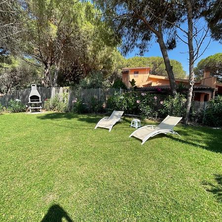Zaffiro Casa Vacanze Al Mare Valledoria  Eksteriør billede