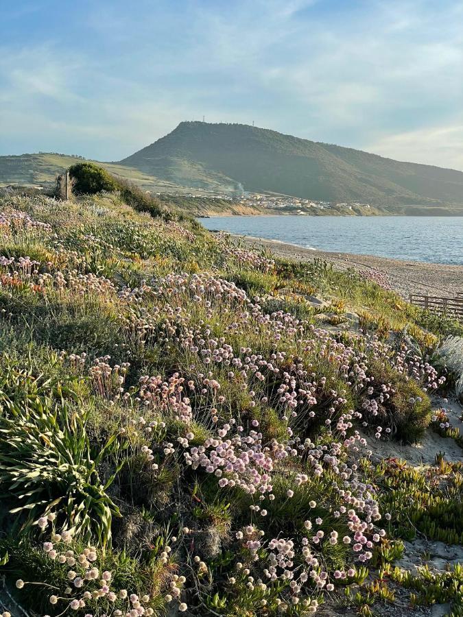 Zaffiro Casa Vacanze Al Mare Valledoria  Eksteriør billede