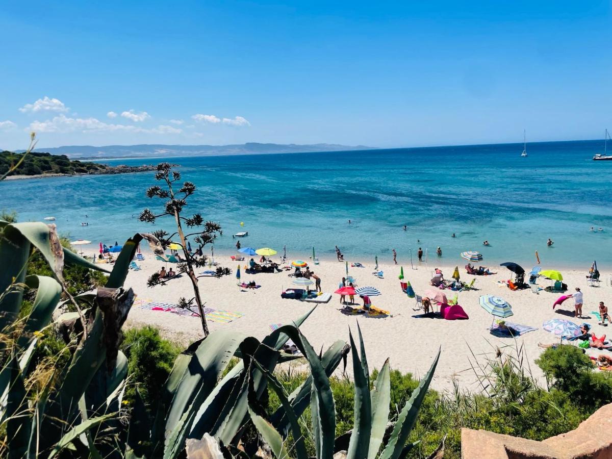 Zaffiro Casa Vacanze Al Mare Valledoria  Eksteriør billede