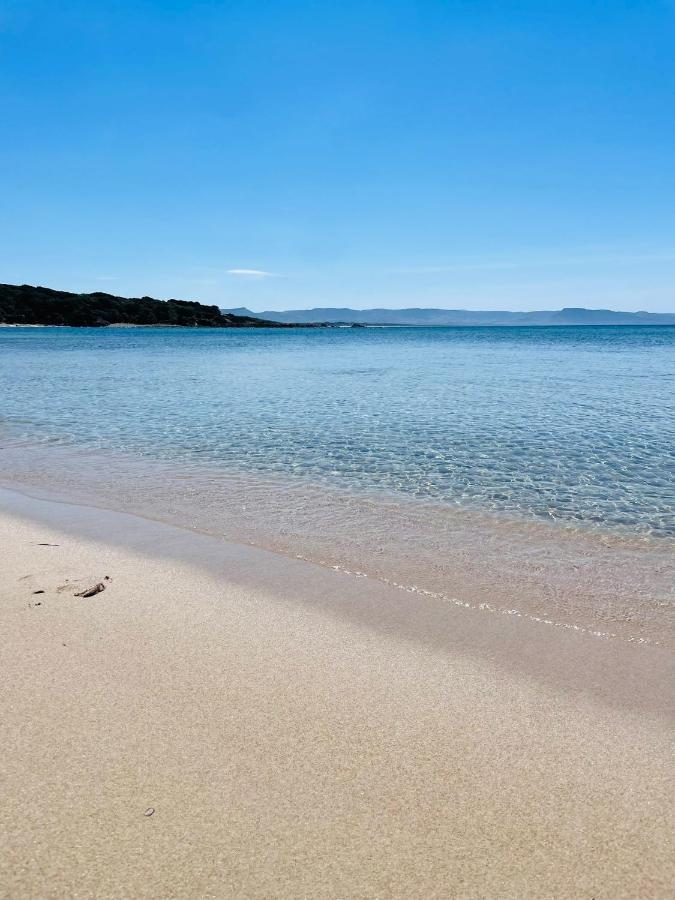 Zaffiro Casa Vacanze Al Mare Valledoria  Eksteriør billede