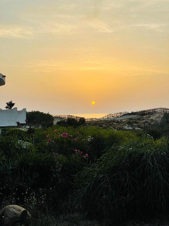Zaffiro Casa Vacanze Al Mare Valledoria  Eksteriør billede